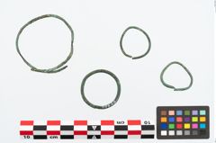 Foto von Bronzering (NHMW-PRAE-026629)